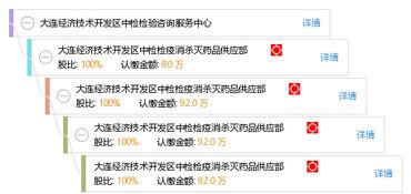 大连经济技术开发区中检检验咨询服务中心 一站式技术咨询服务的卓越典范